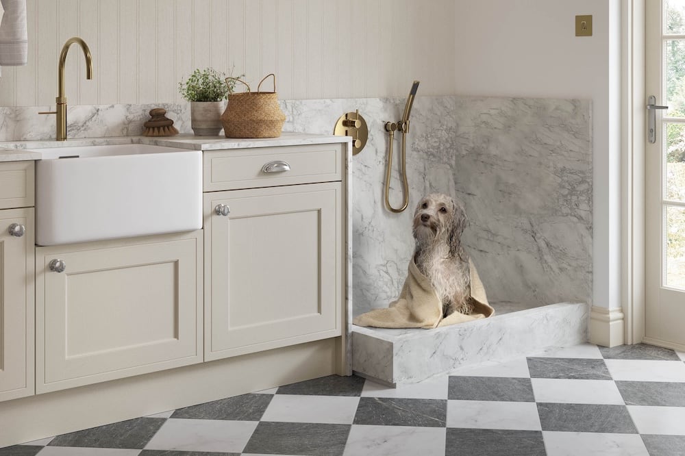 Utility room with dog shower area